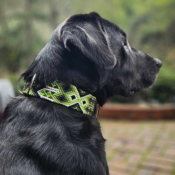 Precious dog-cat collars and leashes hand-woven